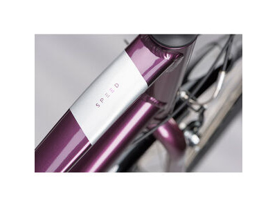 Ridgeback Speed Open Frame click to zoom image