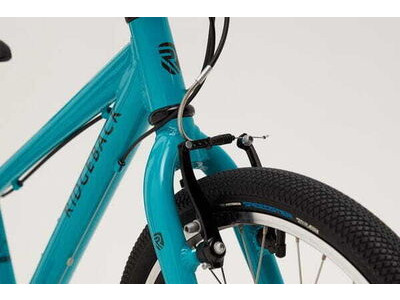 Ridgeback Dimension 20 Teal click to zoom image